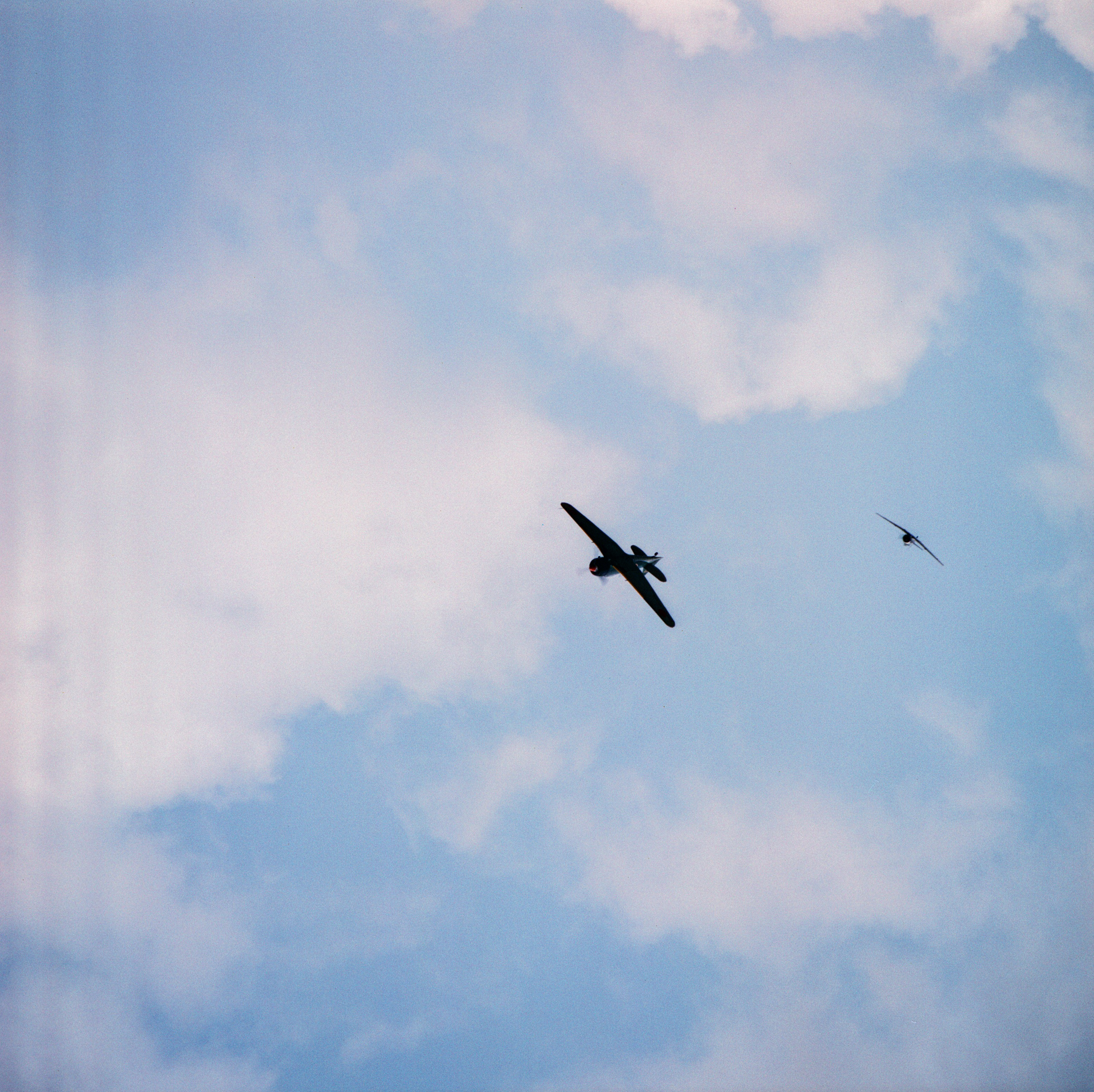 La Ferté-Alais - Le Temps des Hélices 2025 - Image 12